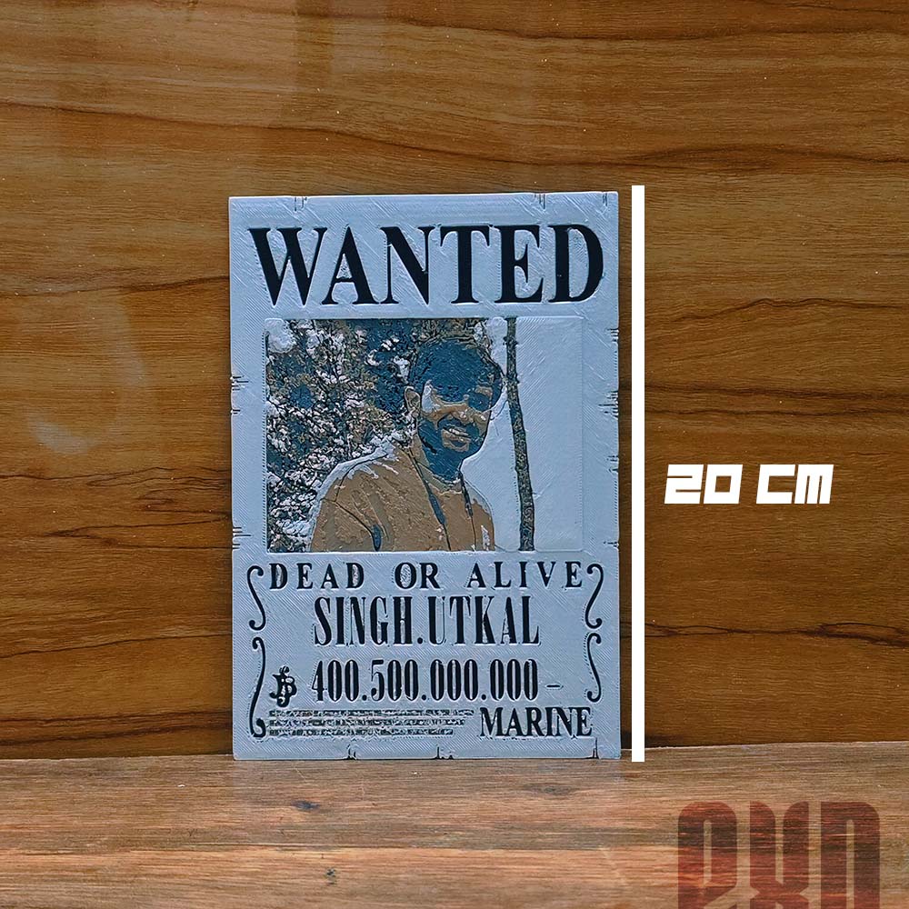 ONE PIECE WANTED POSTER
